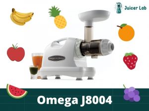 Omega J8004 Juicer Review