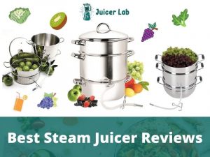 Best Steam Juicer Reviews