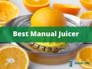 Best Manual Juicer