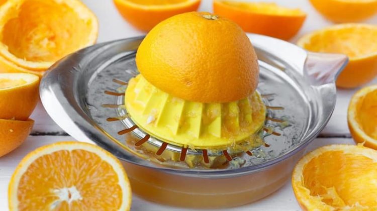 manual fruit juicer