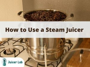 How to Use a Steam Juicer