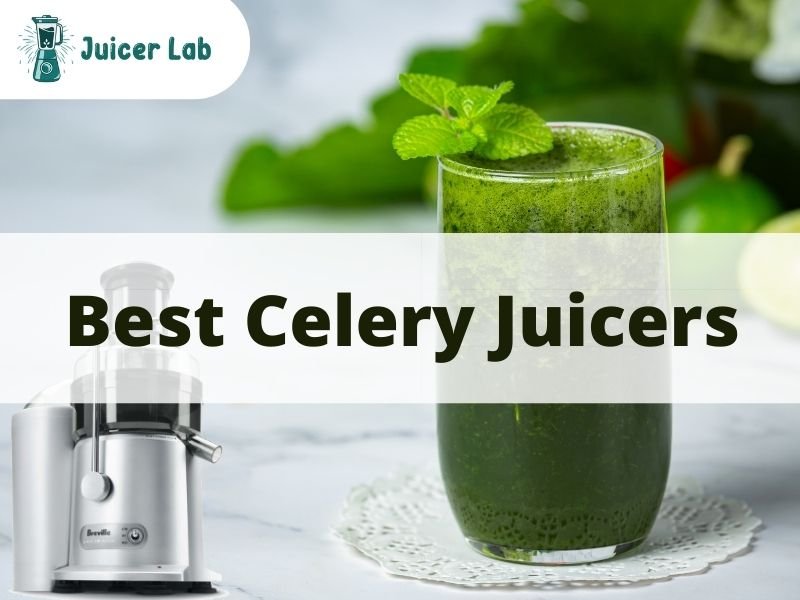 Best Celery Juicers
