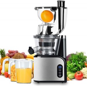 Aobosi AMR8825 Vertical Masticating Juicer