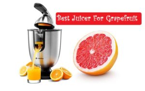 best manual citrus juicer