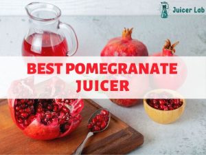 Best Pomegranate Juicer