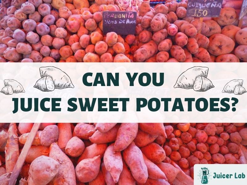 Can You Juice Sweet Potatoes