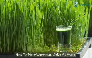 How To Make Wheatgrass Juice