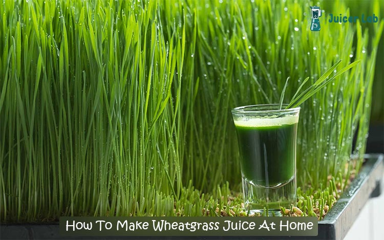 How To Make Wheatgrass Juice