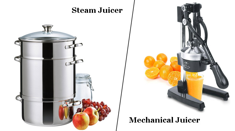 Steam vs. Mechanical Juicer | The Differences 