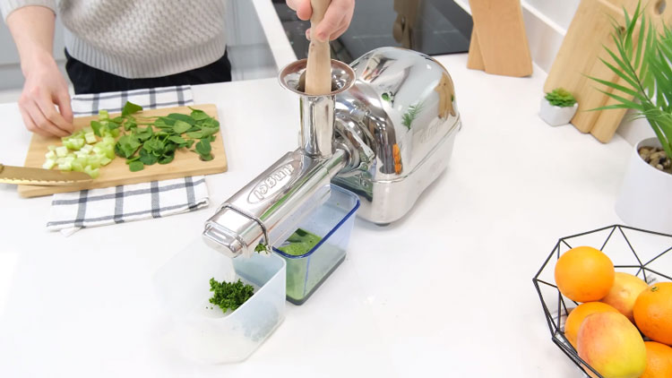 What is A Twin Gear Juicer? Everything You Need To Know