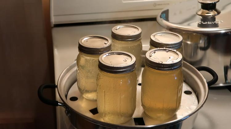 Canning Your Freshly Prepared Steamed Apple Juice 