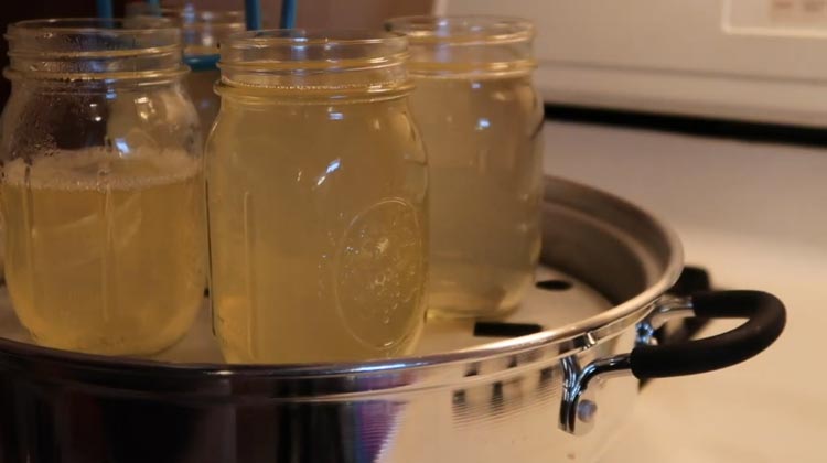 Making Apple Juice in a Steam Juicer
