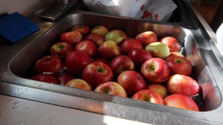 Making Apple Juice in a Steam Juicer