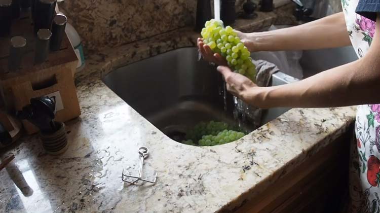 Making juice with a steam juicer