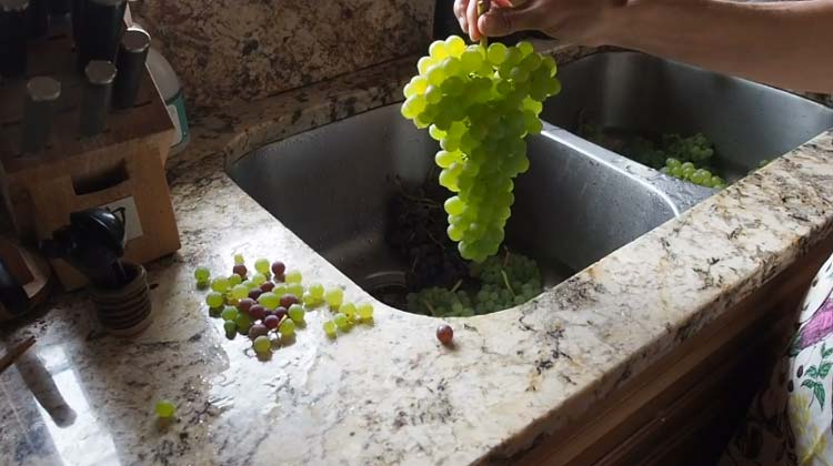 Making juice with a steam juicer