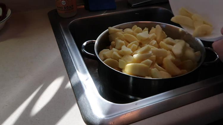 Making Apple Juice in a Steam Juicer