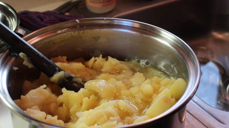 The leftover apple juicing pulp